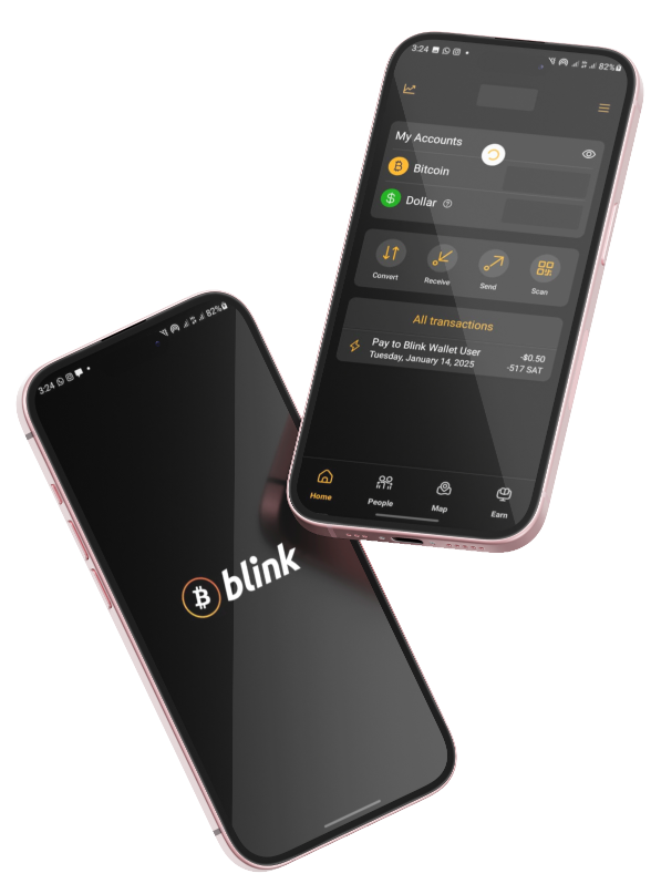 Blink Wallet Step
