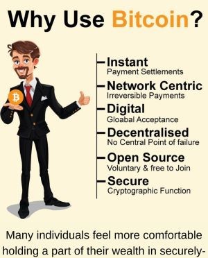 Why Bitcoin?